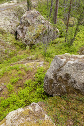 Similar image 22660552