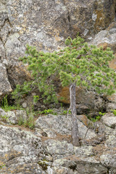 Similar image 22660553