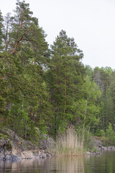Similar image 22660554