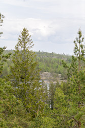 Similar image 22660378