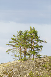 Similar image 22660402