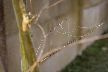 Similar image 22662798