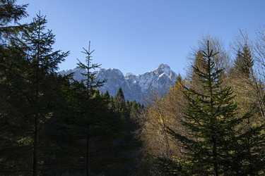 Similar image 22663247