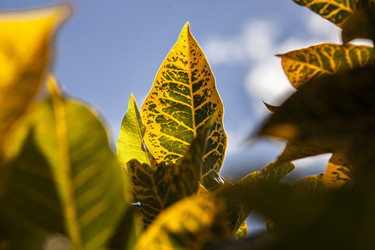 Similar image 22663322