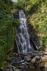 Similar image 22662830
