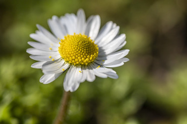 Similar image 22662903