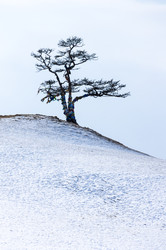Similar image 22660298