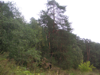 Similar image 22660068