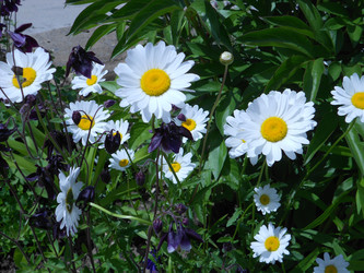 Similar image 22650856