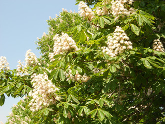 Similar image 22650857