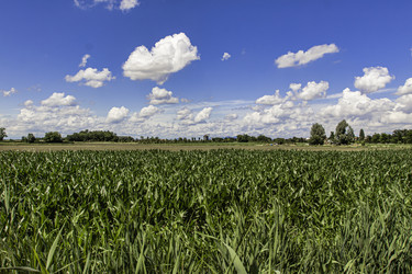 Similar image 22729496