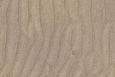 Similar image 22736512