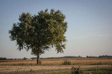 Similar image 22736526