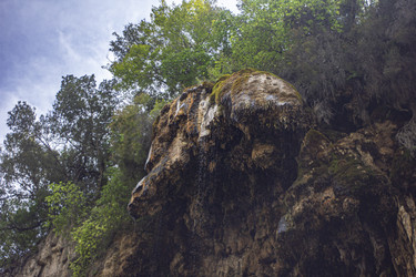 Similar image 22729062