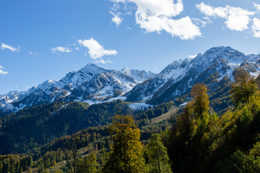 Similar image 22664040
