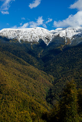 Similar image 22664043