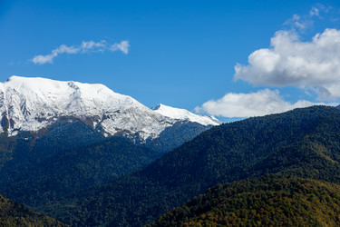 Similar image 22664034