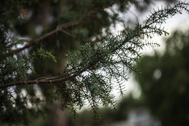 Similar image 22729105