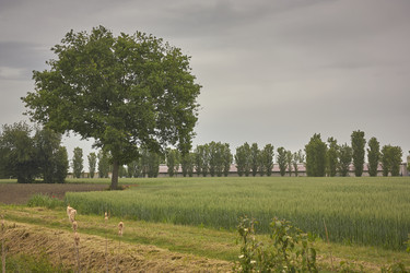 Similar image 22733824