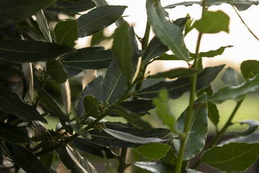 Similar image 22736647