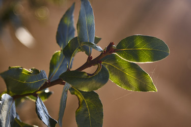 Similar image 22719204