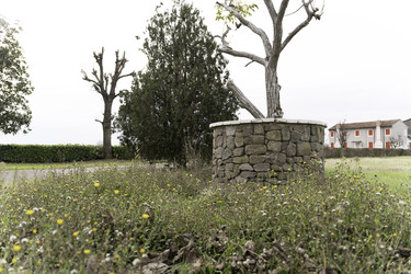 Similar image 22729150