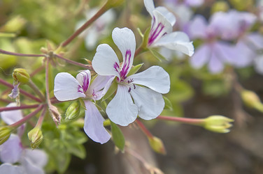 Similar image 22718587