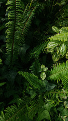 Similar image 22661054
