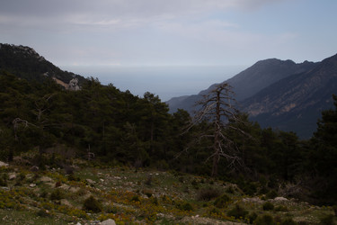 Similar image 22660083