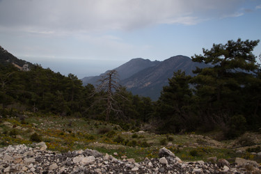 Similar image 22660086