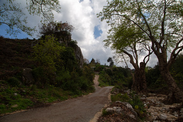 Similar image 22660094