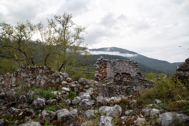 Similar image 22660095
