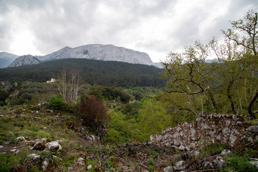 Similar image 22660102