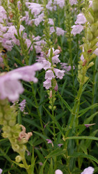 Similar image 22659951