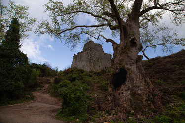 Similar image 22660109