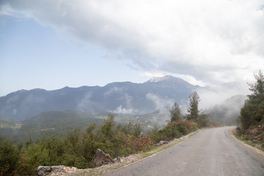 Similar image 22660111