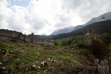 Similar image 22660112