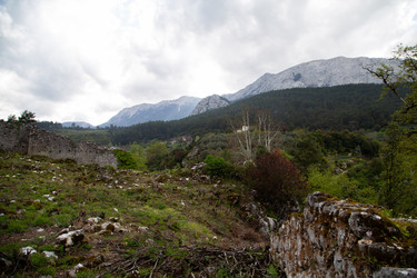 Similar image 22660115