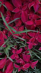 Similar image 22659954