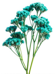 Similar image 22680674