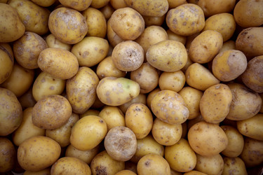 Similar image 22666152