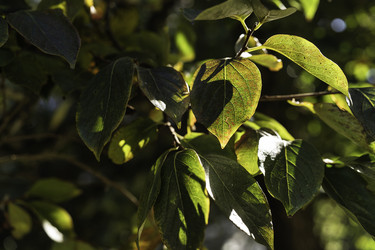 Similar image 22734334