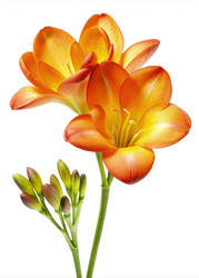 Similar image 22681419