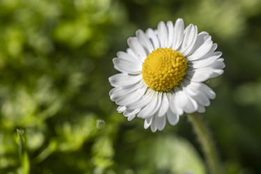 Similar image 22734107