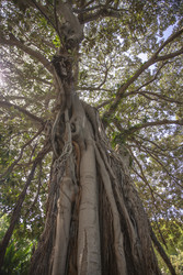 Similar image 22733886