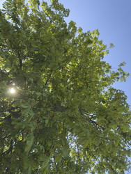 Similar image 22734319