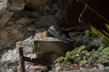 Similar image 22719158