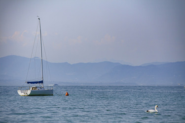 Similar image 22729139