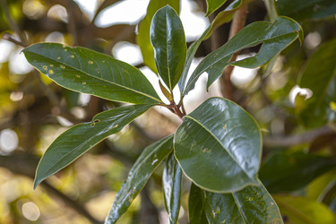 Similar image 22734540