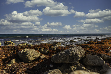 Similar image 22719329